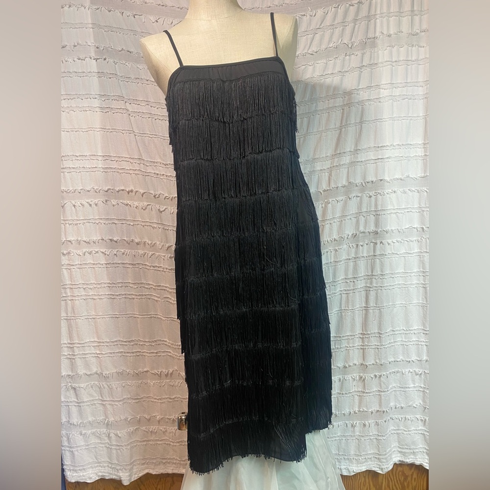 Smiffys flapper dress 1920's costume fringe dress
